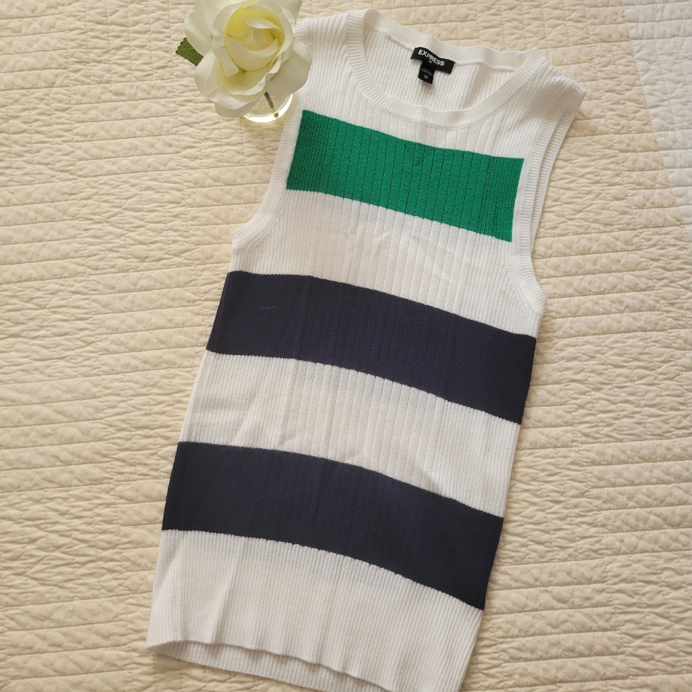 Express Stripe Sleeveless Sweater